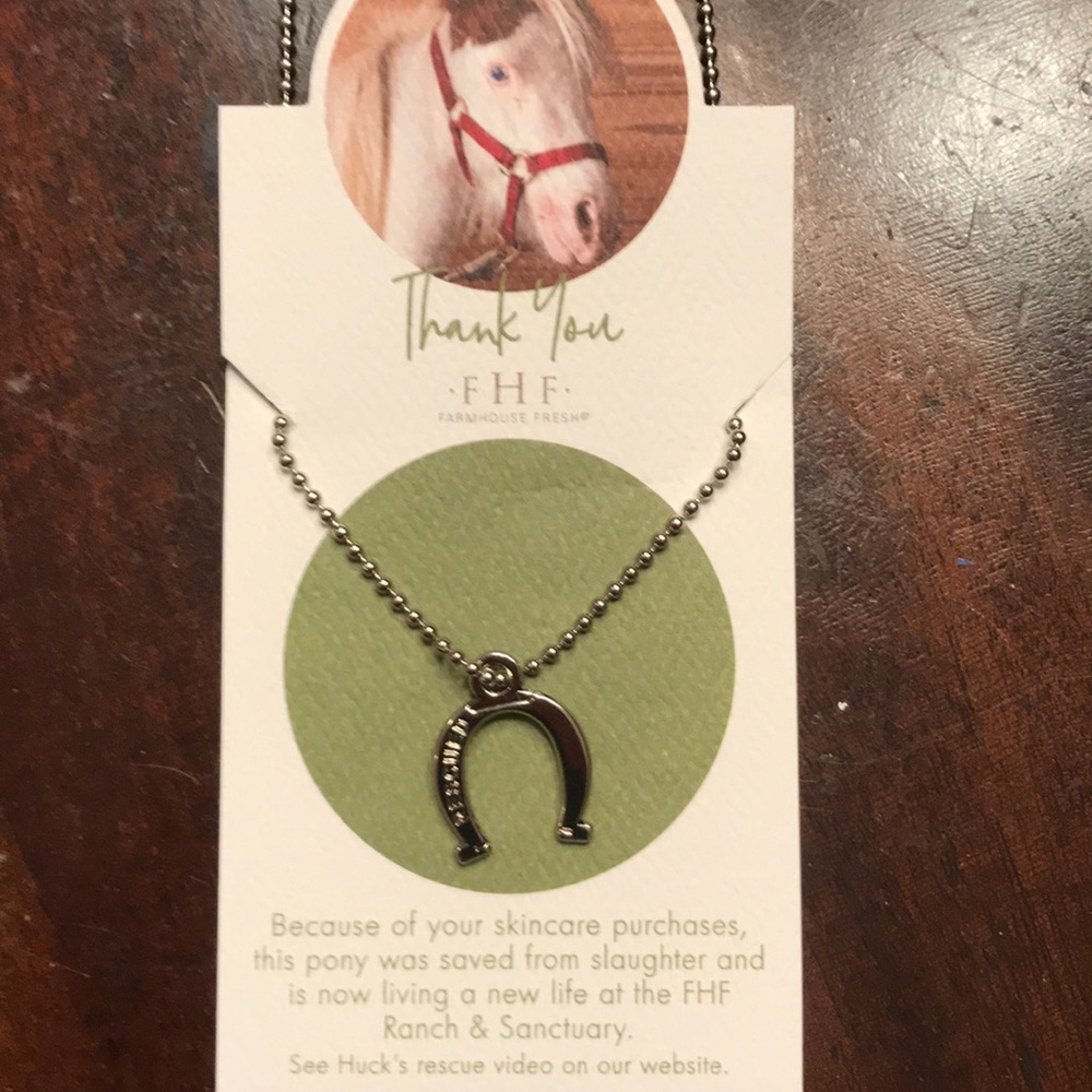 Chain Horseshoe Necklace